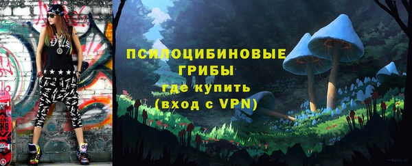 дживик Балахна