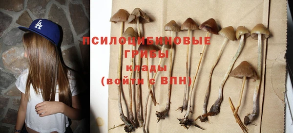 дживик Балахна