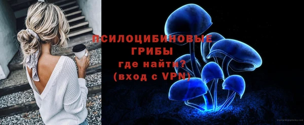 дживик Балахна