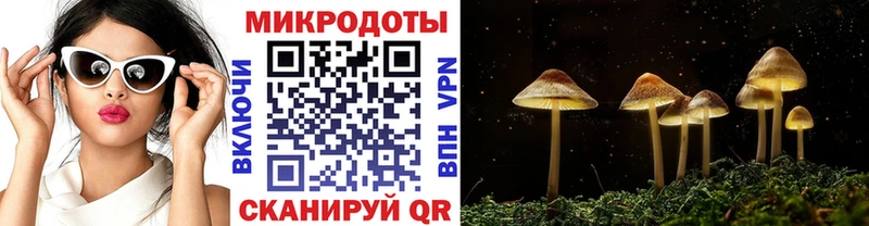 Галлюциногенные грибы Psilocybine cubensis  продажа наркотиков  hydra ссылки  Горячий Ключ 