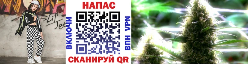 Конопля гибрид mega как войти Горячий Ключ
